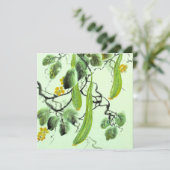 Chinesischer Gurke (Stehend Vorderseite)