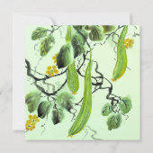 Chinesischer Gurke (Vorderseite)