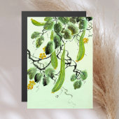 Chinesischer Gurke Magnetkarte