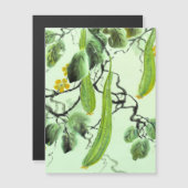 Chinesischer Gurke Magnetkarte (Vorne/Hinten)