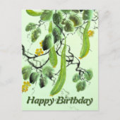 Chinesischer Gurke Postkarte (Vorderseite)