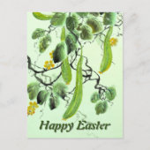 Chinesischer Gurke Postkarte (Vorderseite)