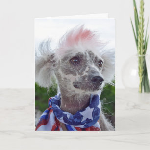 Chinesischer haarloser Hund mit Flaggentuch Karte
