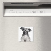 Chinesischer Hund (15 Monate alt) im Wind Magnet (In Situ (Geschirrspüler))