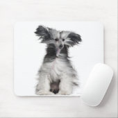 Chinesischer Hund (15 Monate alt) im Wind Mousepad (Mit Mouse)
