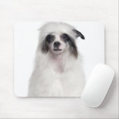 Chinesischer Hund (7 Monate alt) Mousepad (Mit Mouse)