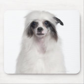 Chinesischer Hund (7 Monate alt) Mousepad (Vorne)