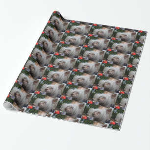 Chinesischer Hund Geschenkpapier