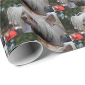 Chinesischer Hund Geschenkpapier (Rolleneckpunkt)