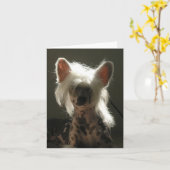 Chinesischer Hund Karte (Gelbe Blume)