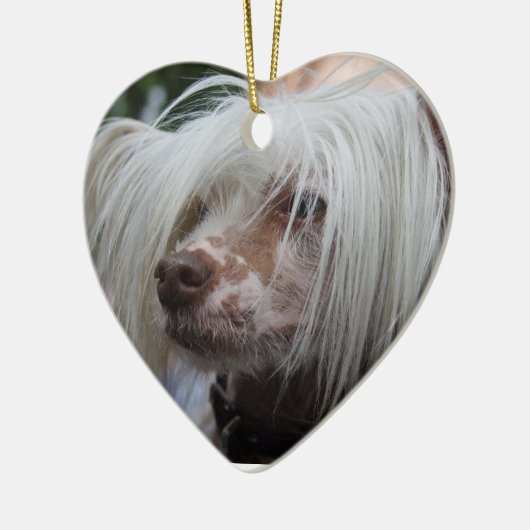 Chinesischer Hund Keramikornament (Links)