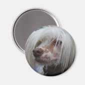 Chinesischer Hund Magnet (Vorderseite/Rückseite)