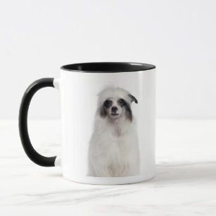 Chinesischer Hund mit Haube (7 Monate alte) Tasse