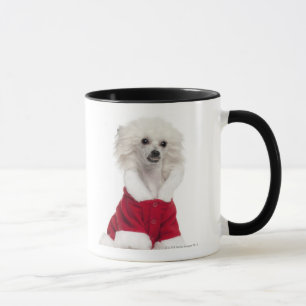 Chinesischer Hund mit Haube (einjähriges) Tasse