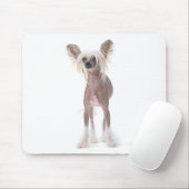 Chinesischer Hund mit Haube Mouspad Mousepad (Mit Mouse)