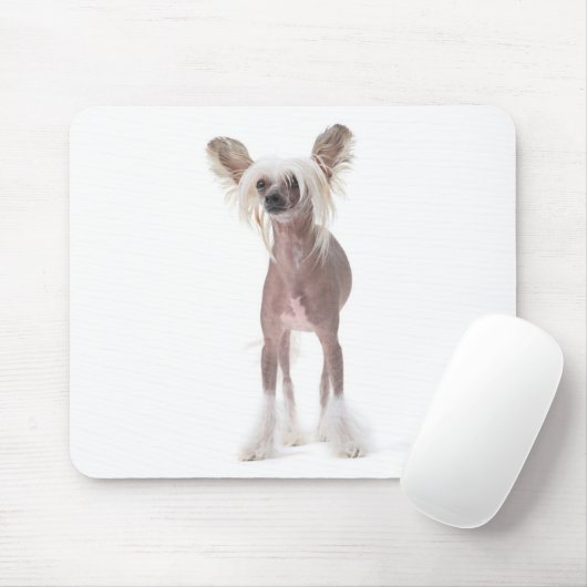 Chinesischer Hund mit Haube Mouspad Mousepad (Mit Mouse)