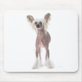 Chinesischer Hund mit Haube Mouspad Mousepad (Vorne)