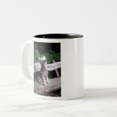 Chinesischer Hund mit Haube Zweifarbige Tasse (Vorderseite Links)