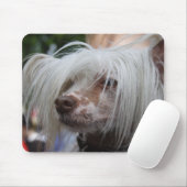 Chinesischer Hund Mousepad (Mit Mouse)