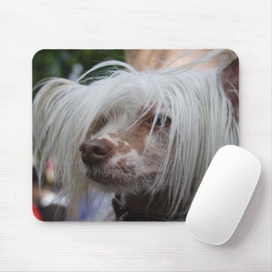 Chinesischer Hund Mousepad (Mit Mouse)