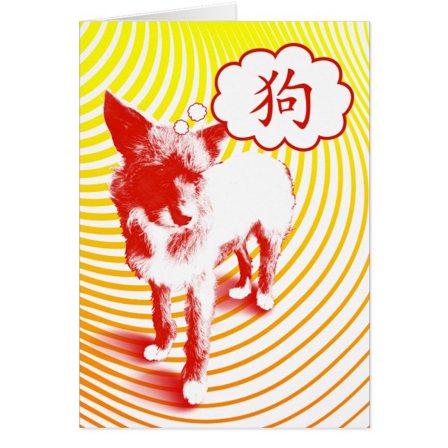 Chinesischer Hundecharakter CrazyPups (Vorne)