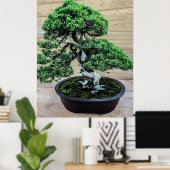 Chinesischer Juniper Bonsai Tree Poster (Heimbüro)