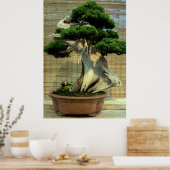 Chinesischer Juniper Bonsai Tree Poster (Küche)