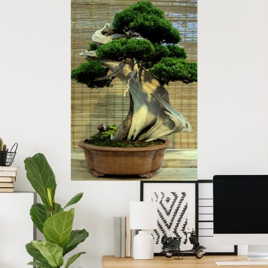 Chinesischer Juniper Bonsai Tree Poster (Heimbüro)