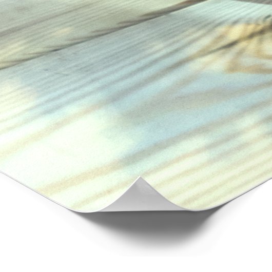 Chinesischer Juniper Bonsai Tree Poster (Ecke)