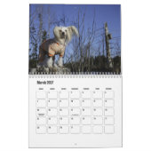 Chinesischer Kalender für gezinkte Hunde (Mär 2027)