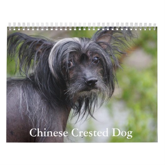 Chinesischer Kalender für gezinkte Hunde (Titelbild)