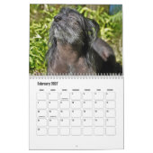 Chinesischer Kalender für gezinkte Hunde (Feb 2027)