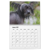 Chinesischer Kalender für gezinkte Hunde (Jan 2027)