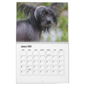 Chinesischer Kalender für gezinkte Hunde (Jan 2026)