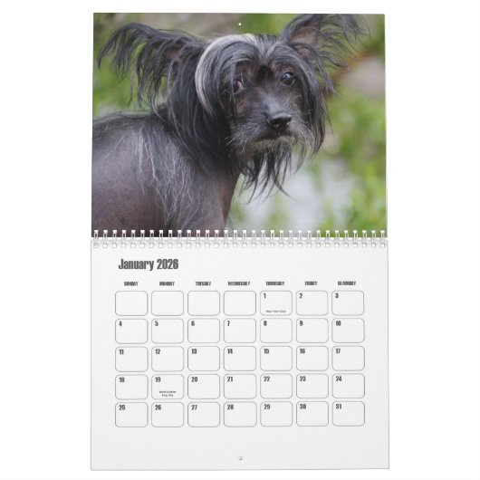 Chinesischer Kalender für gezinkte Hunde (Jan 2026)