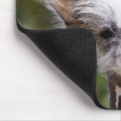CHINESISCHER KRESTIERTER HUND (HAIRLESS) MOUSEPAD (Ecke)