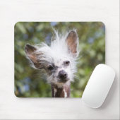 CHINESISCHER KRESTIERTER HUND (HAIRLESS) MOUSEPAD (Mit Mouse)