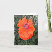 Chinesischer Mohn... Karte (Vorderseite)