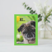 Chinesischer Mops Hund Hi Postcard Postkarte (Stehend Vorderseite)