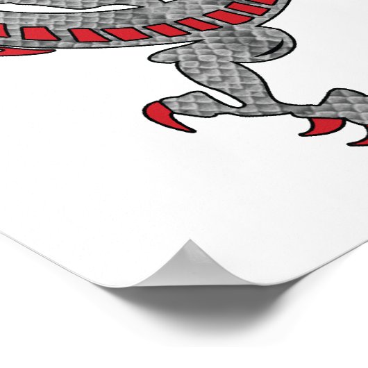 Chinesischer Neujahrsdrache Poster (Ecke)