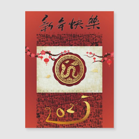 Chinesischer Neujahrsschlange 2025 VMC Magnetkarte (Vorderseite)