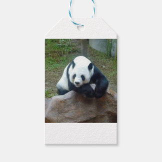 Chinesischer Panda-Bär Geschenkanhänger