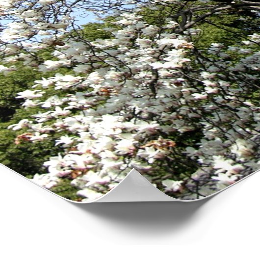 Chinesischer Pavillon Poster (Ecke)