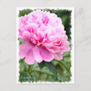 Chinesischer Peony Card ポ ス ト  [Postkarte] Postkarte