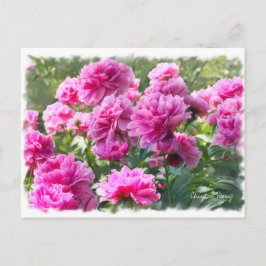Chinesischer Peony Card ポ ス ト  [Postkarte] Postkarte