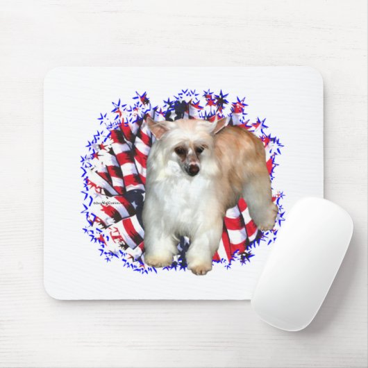 Chinesischer (Pulver) Mousepad (Mit Mouse)