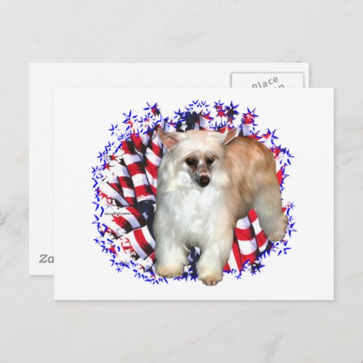 Chinesischer (Pulver) Postkarte (Vorne/Hinten)