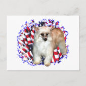 Chinesischer (Pulver) Postkarte (Vorderseite)