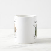 Chinesischer Shar Pei Geschichte; chinesischer Sha Kaffeetasse (Mittel)