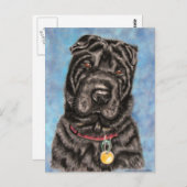 Chinesischer Shar-Pei Hund Art - Tia Postkarte (Vorne/Hinten)